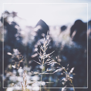 提升EDM小兔导航
