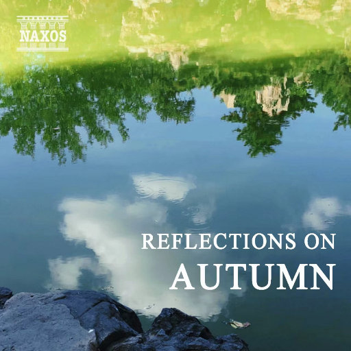 提升EDM小兔导航
